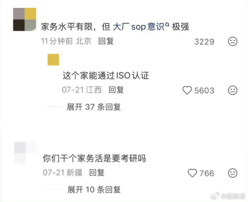 家务水平有限但大厂思维极强 进厨房先做需求分析，擦窗户先写执行方案。家务成果拿不