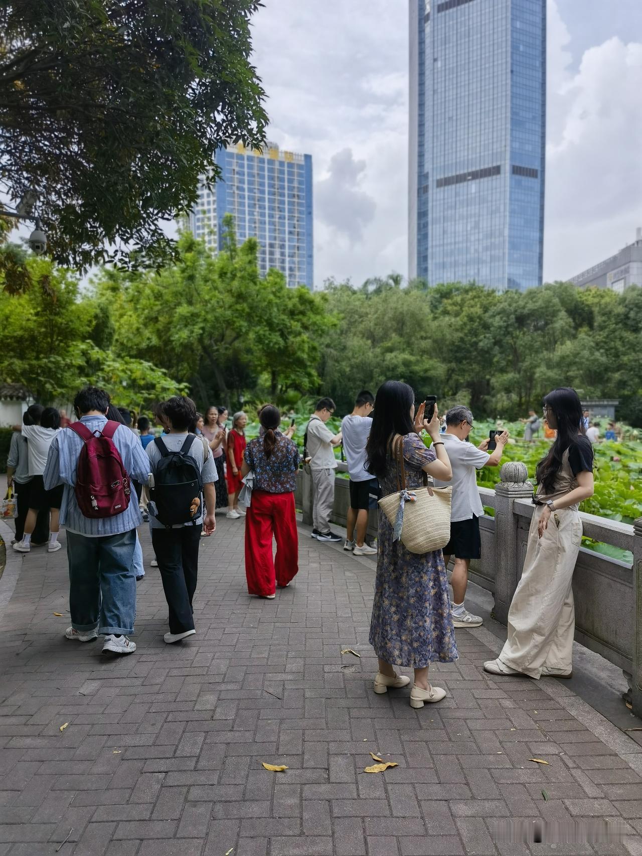 大家有没这样的感觉？
什么东西都不能太艳丽或是太耀眼，
太艳丽和太耀眼的东西不耐