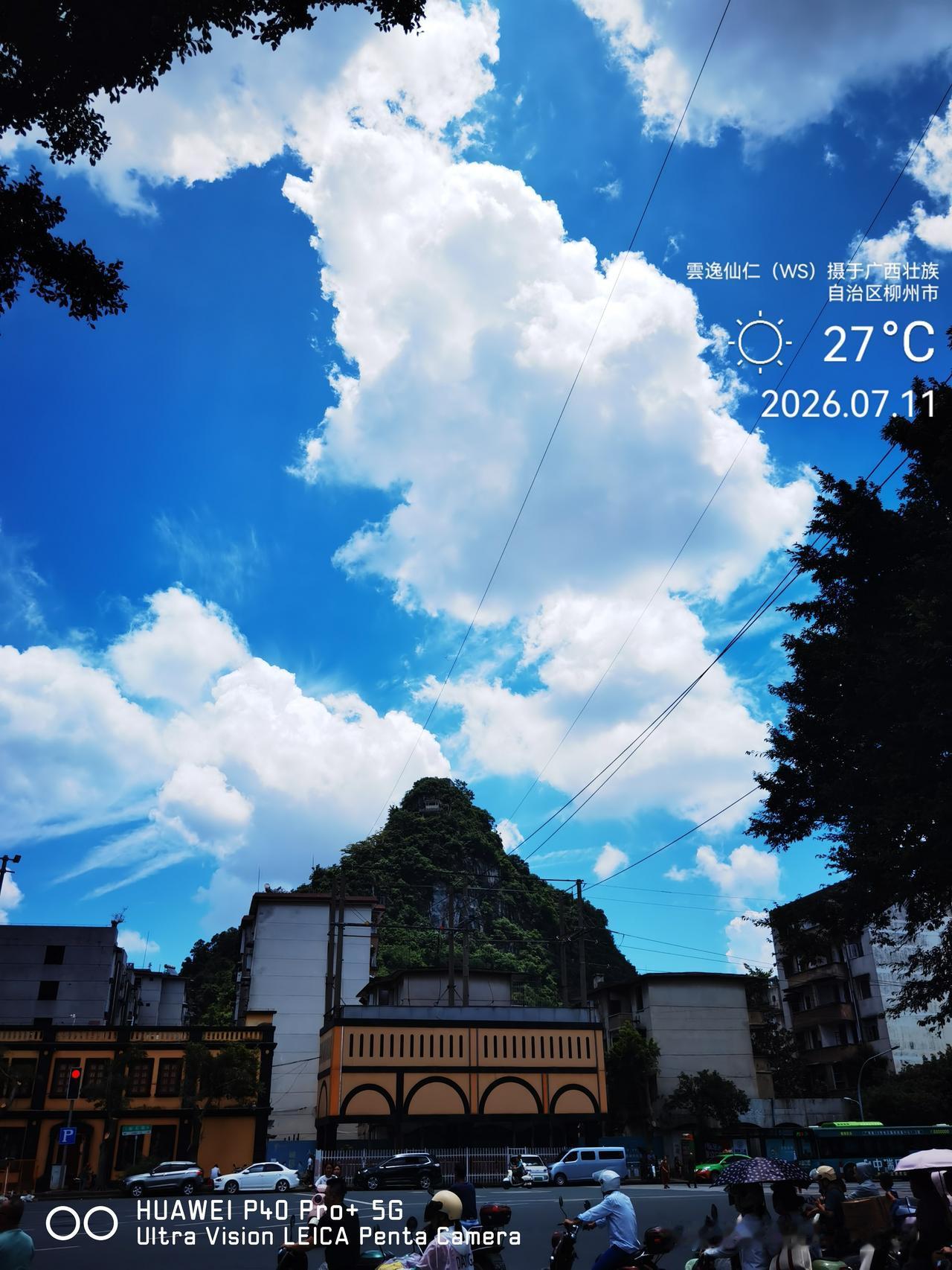 月居生活记录（10106）广西壮族自治区柳州市（143）：尖角嘴、圆角嘴、对吹等