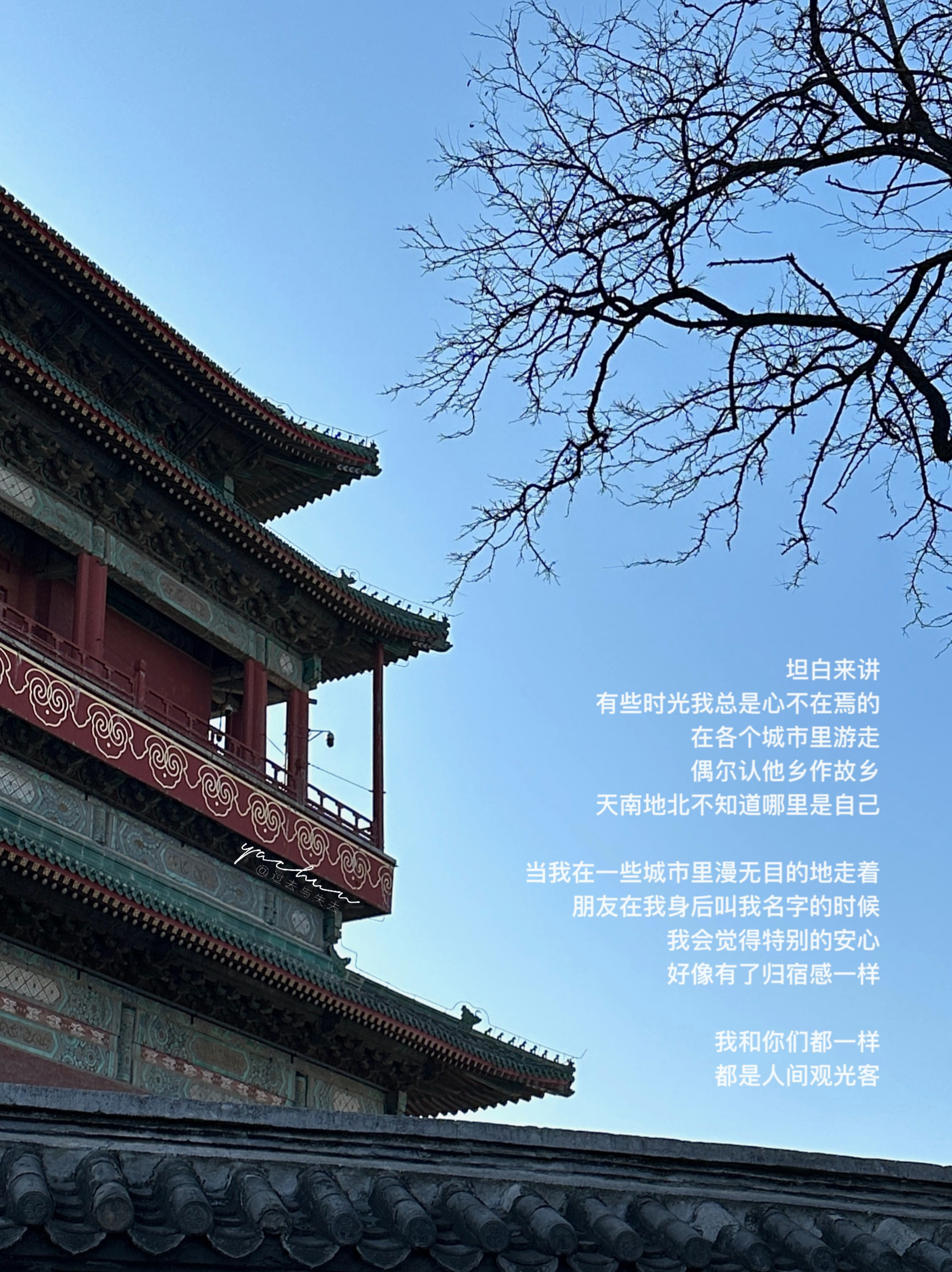 流淌着的始终是浪漫血液 ​​​