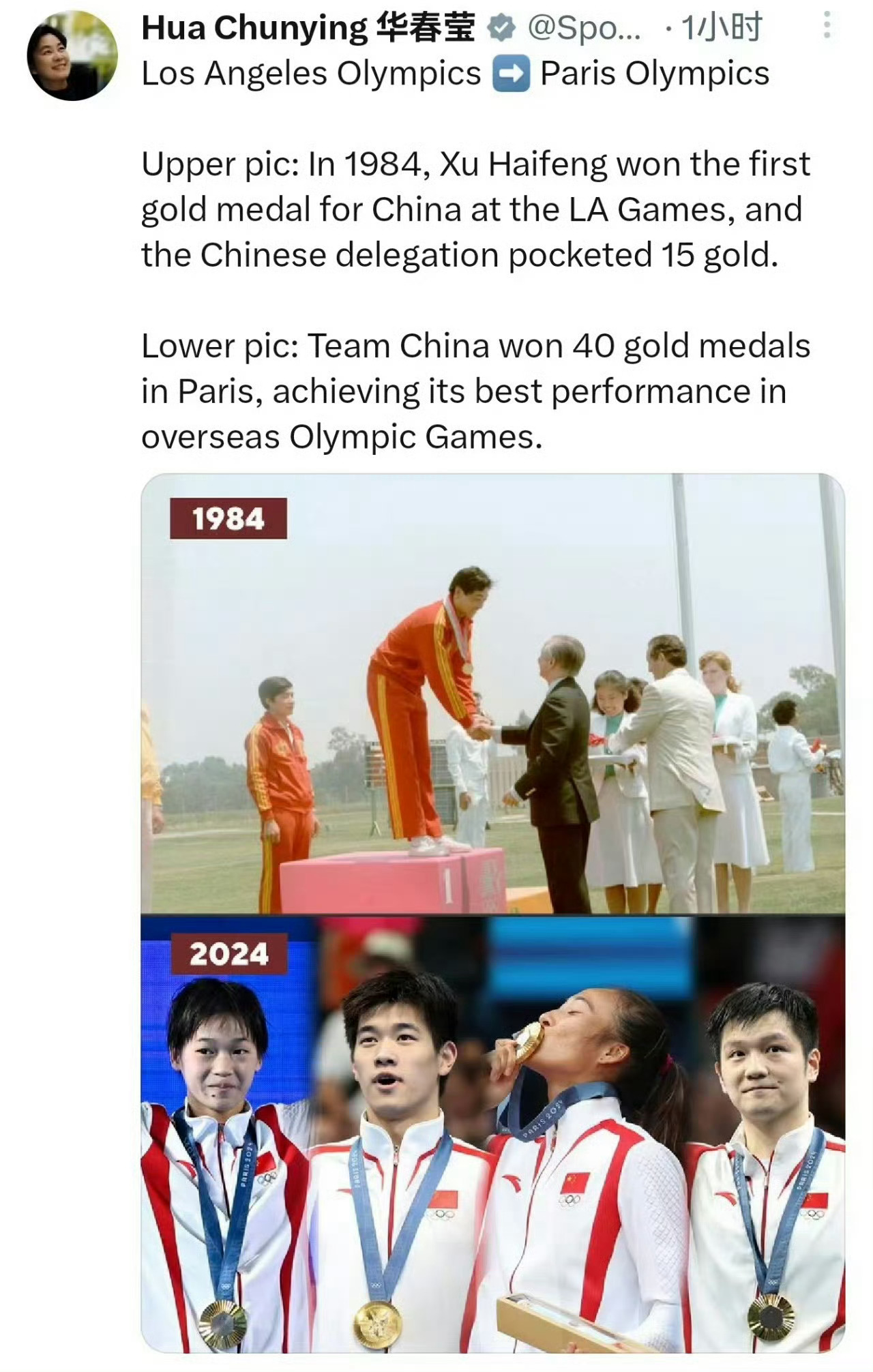 猜你也想成为樊振东这种既有天赋还努力的人！在乒乓球领域做到顶尖的同时，还拥有了缤