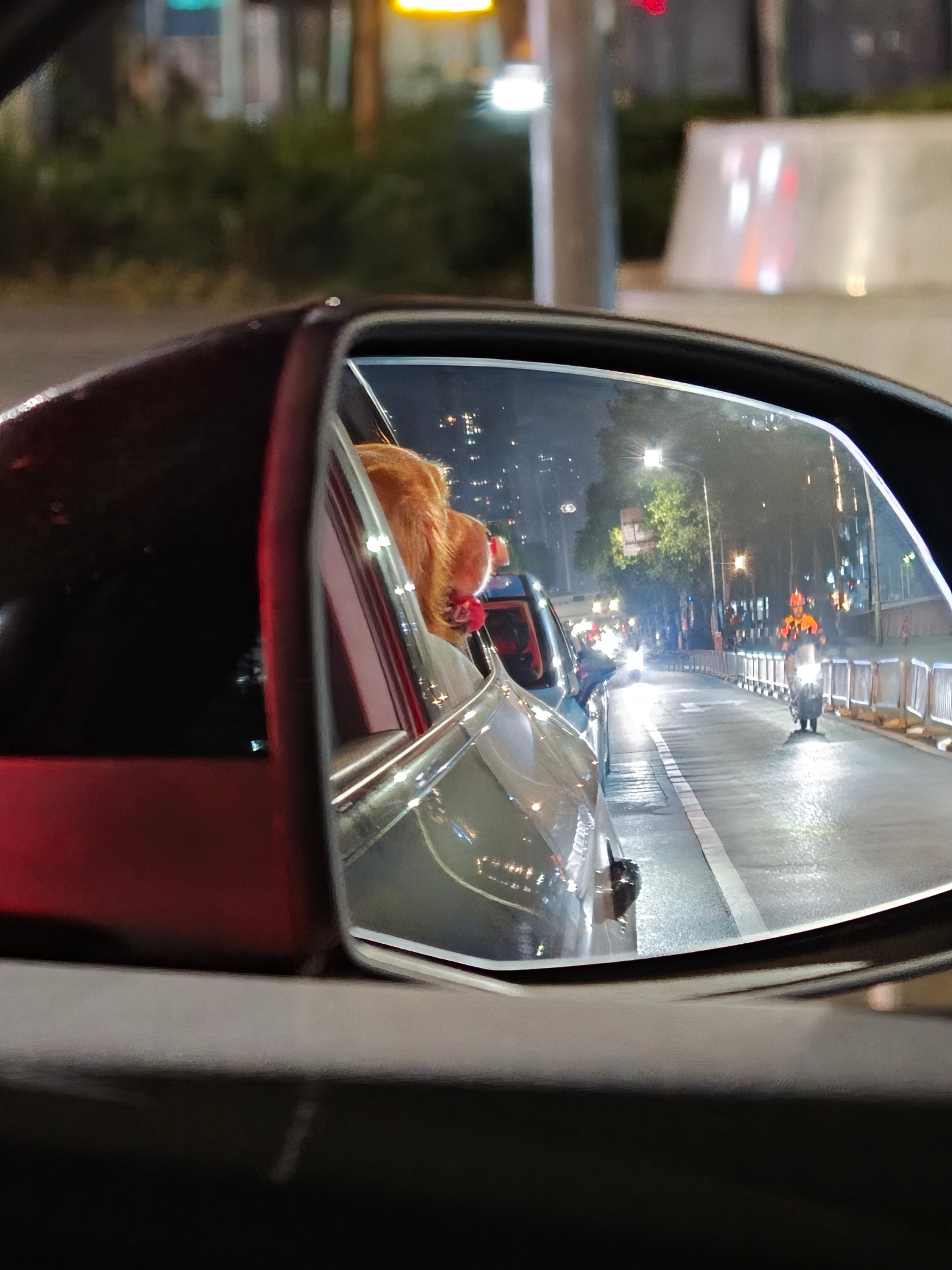 🇮🇳的小电驴，大哥一脸懵逼，我和它说现在刚开工，很多人还没回来，下个月恢复正