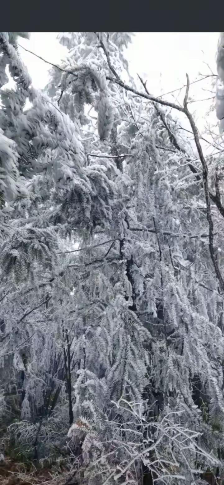雪山爬山推荐 大雪山