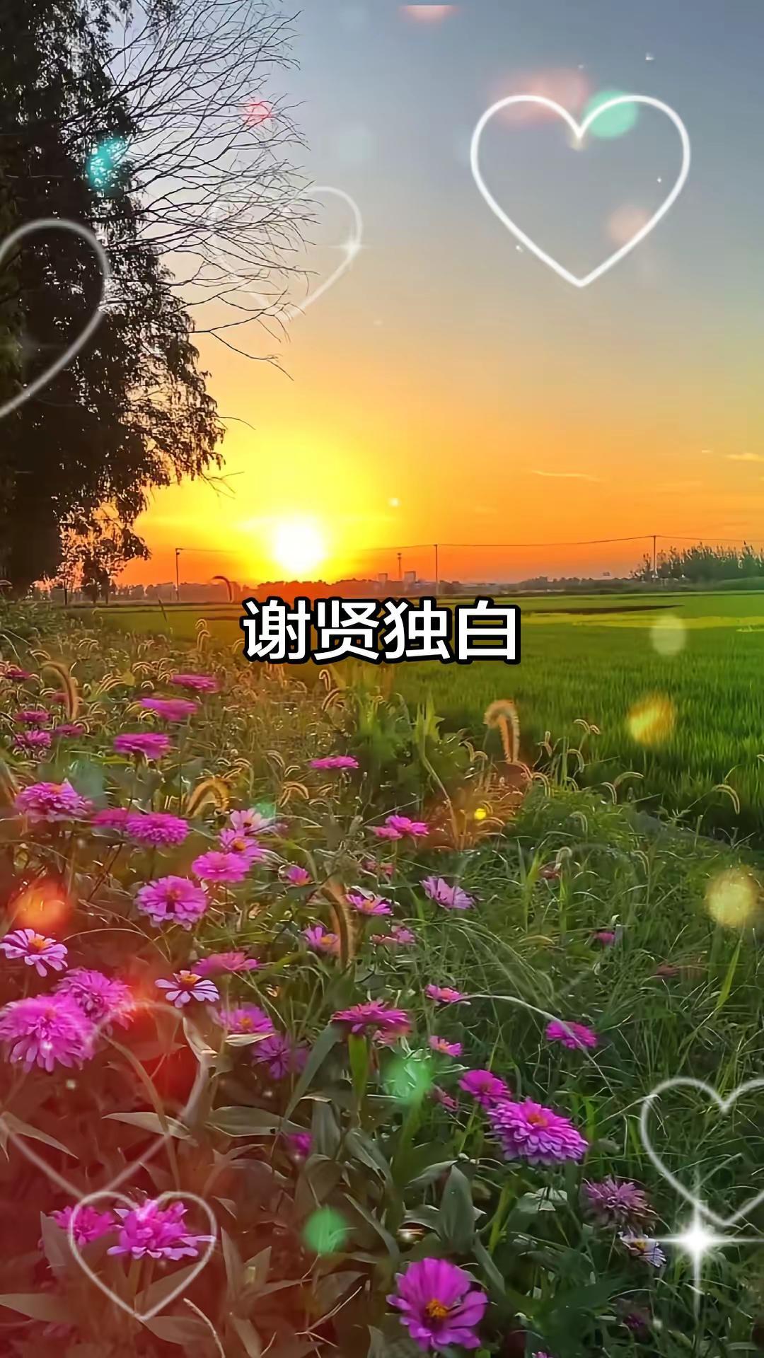 谢贤的温柔，都给了孩子与柏芝人物故事