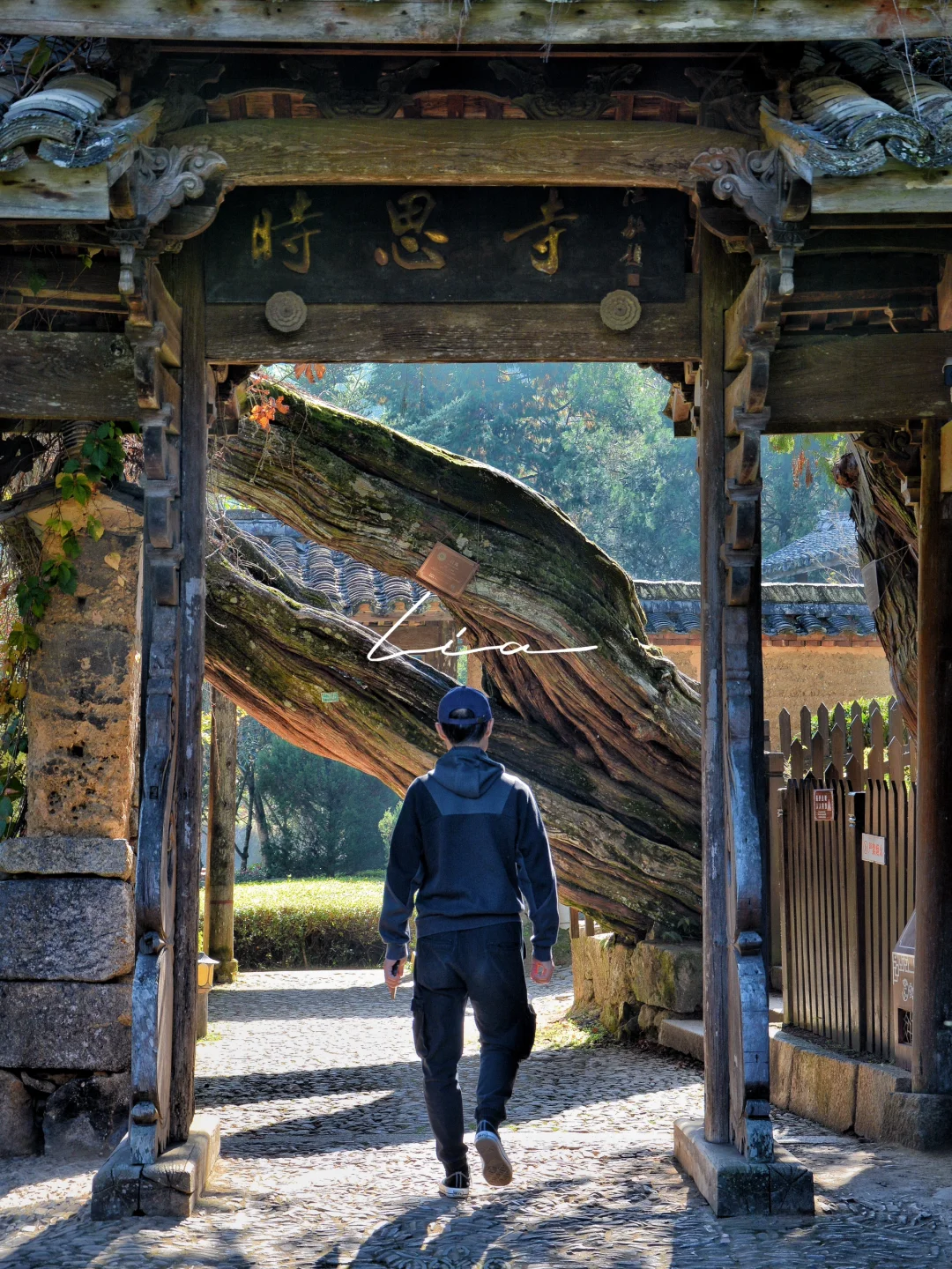 2024旅行结算｜古建筑篇（四）