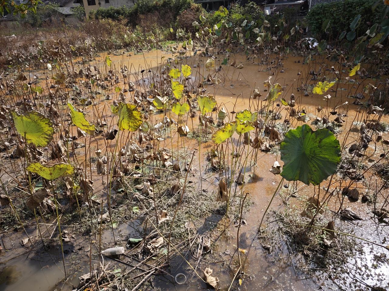 你愿意接受自然的衰老吗?
不接受也得接受。
今天早上，我就出了两个错，都与衰老有