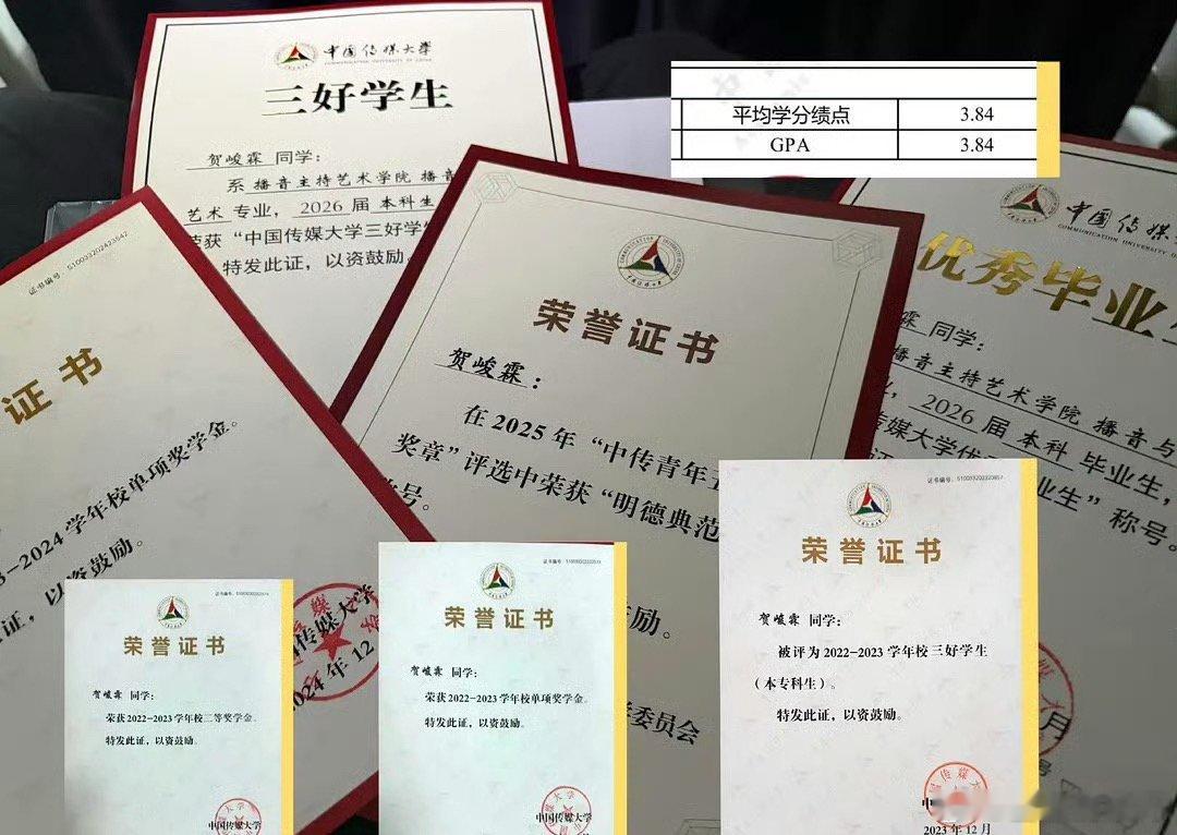 贺峻霖是不是时代峰峻里文化水平最好的