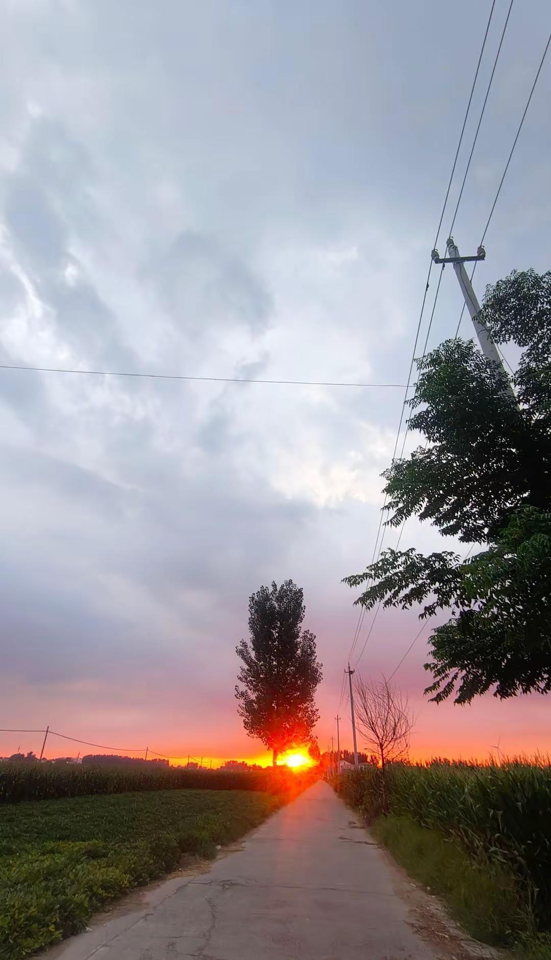 都说「夕阳无限好，只是近黄昏」，不过今天的夕阳真的超美！一开始像团被火烧着的云?