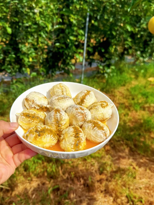 为什么你吃百香果没有白，那是你没有吃对！