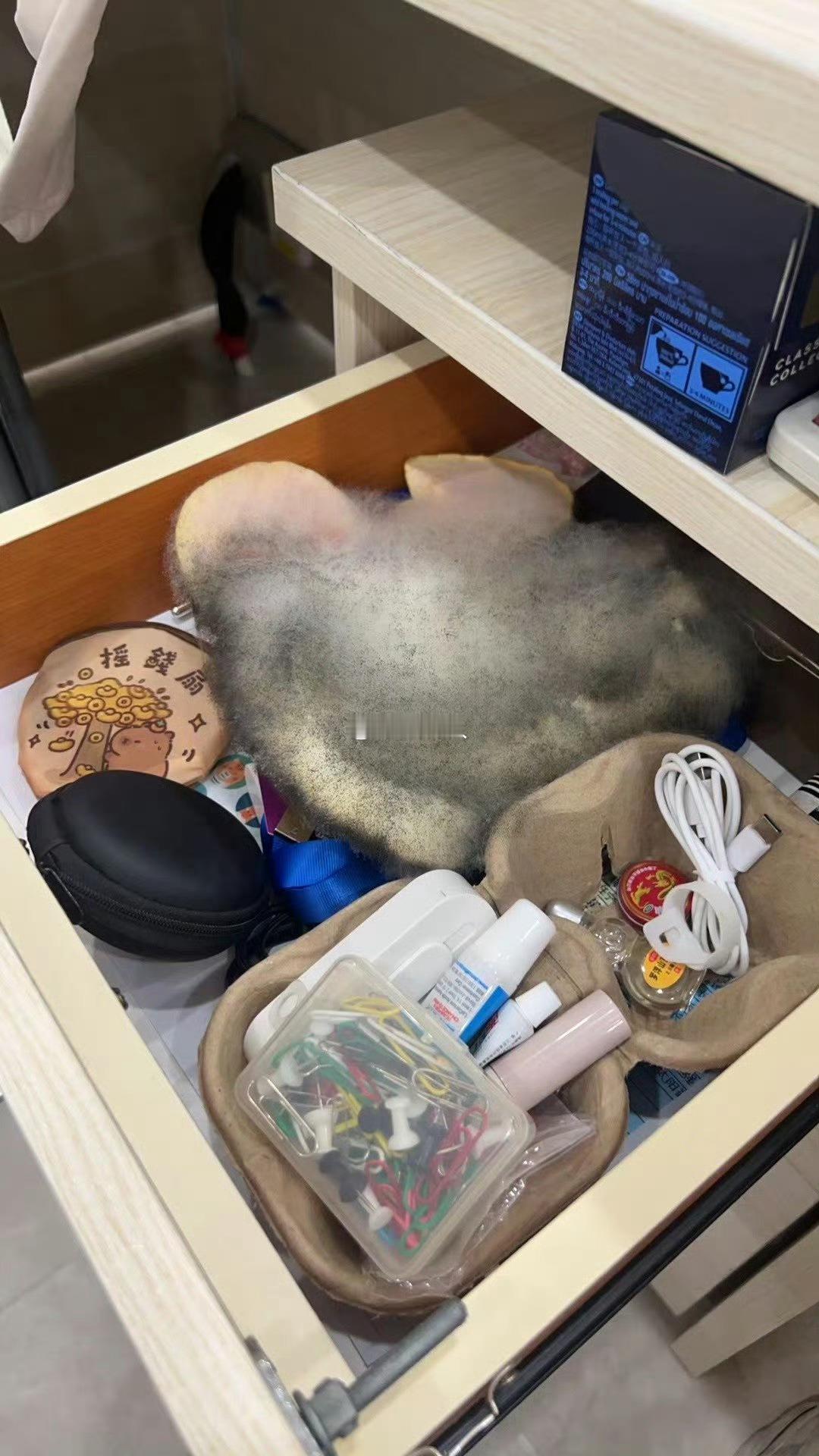 广东这天气简直太离谱了 ​​​