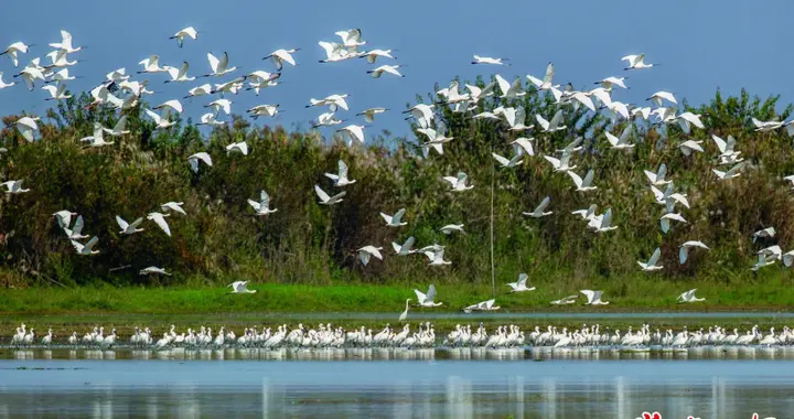 《经济日报》｜退捕上岸新生活