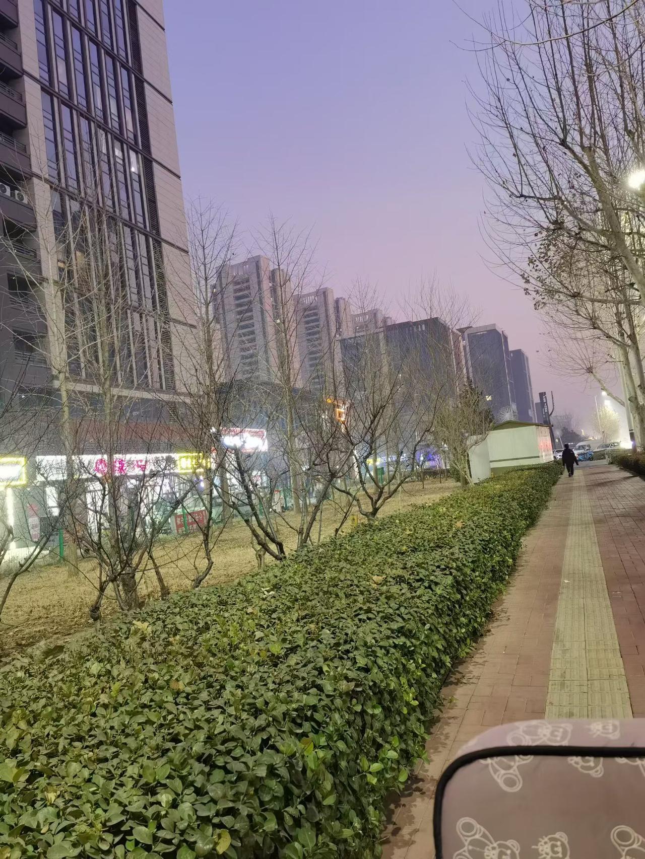 生活随拍记录美好瞬间随手拍送娃上学