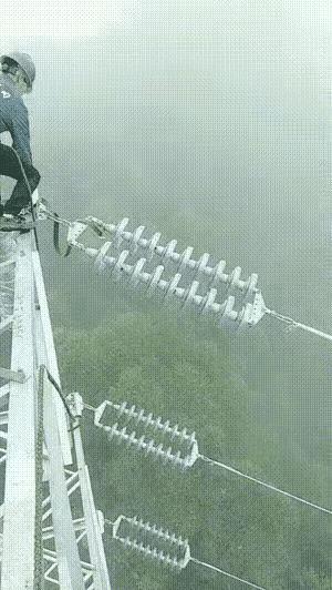 国家电网的高端人才，引人仰望。