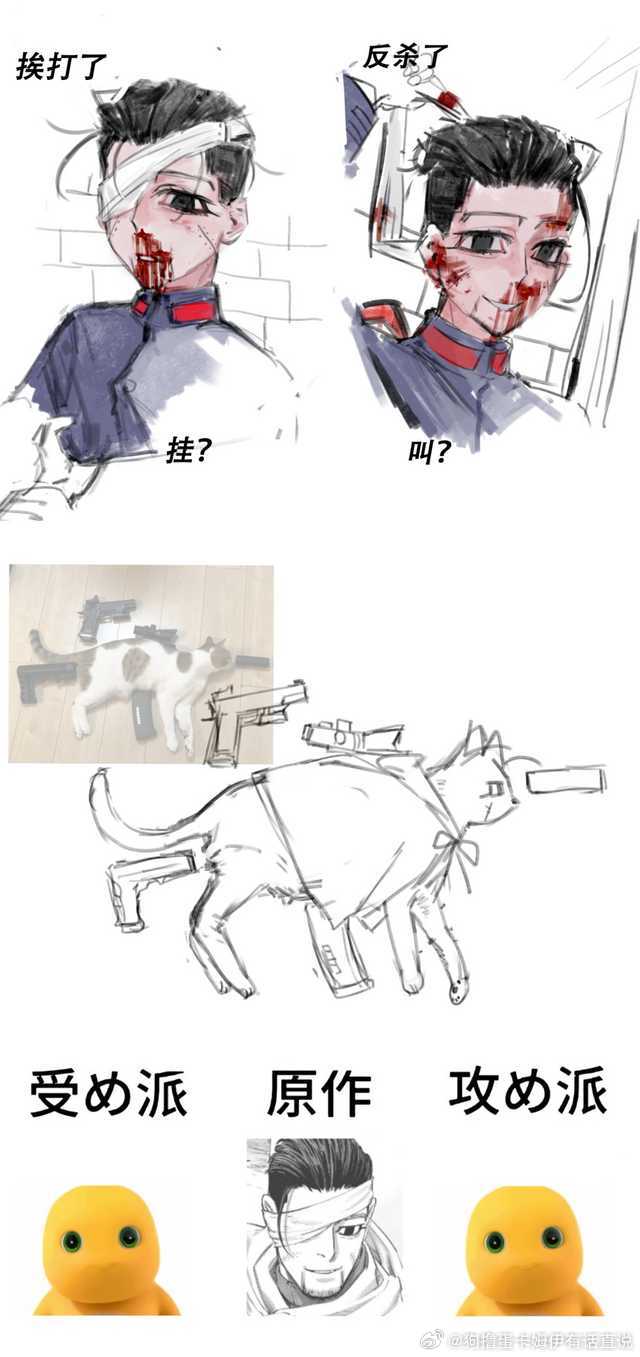 5080【🐱】梗图×3 