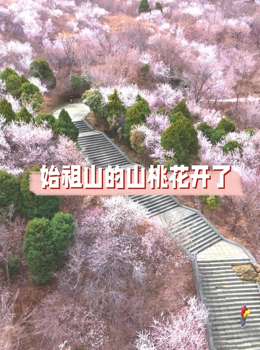 始祖山的山桃花开了🌸爬山赏花我都要！
救命！3月的始祖山（具茨山）也太会了😭