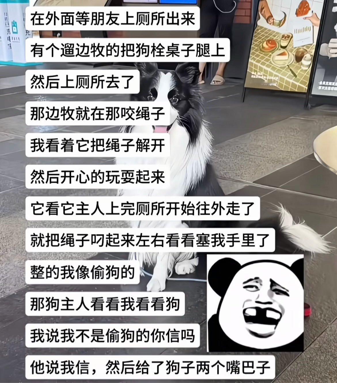 还是亲主人懂