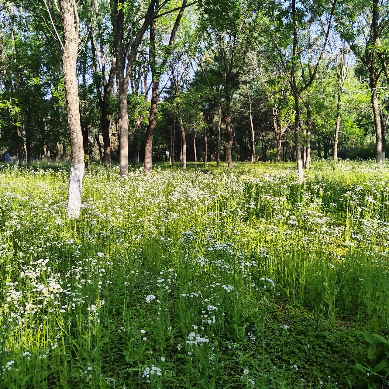 奥森的早晨