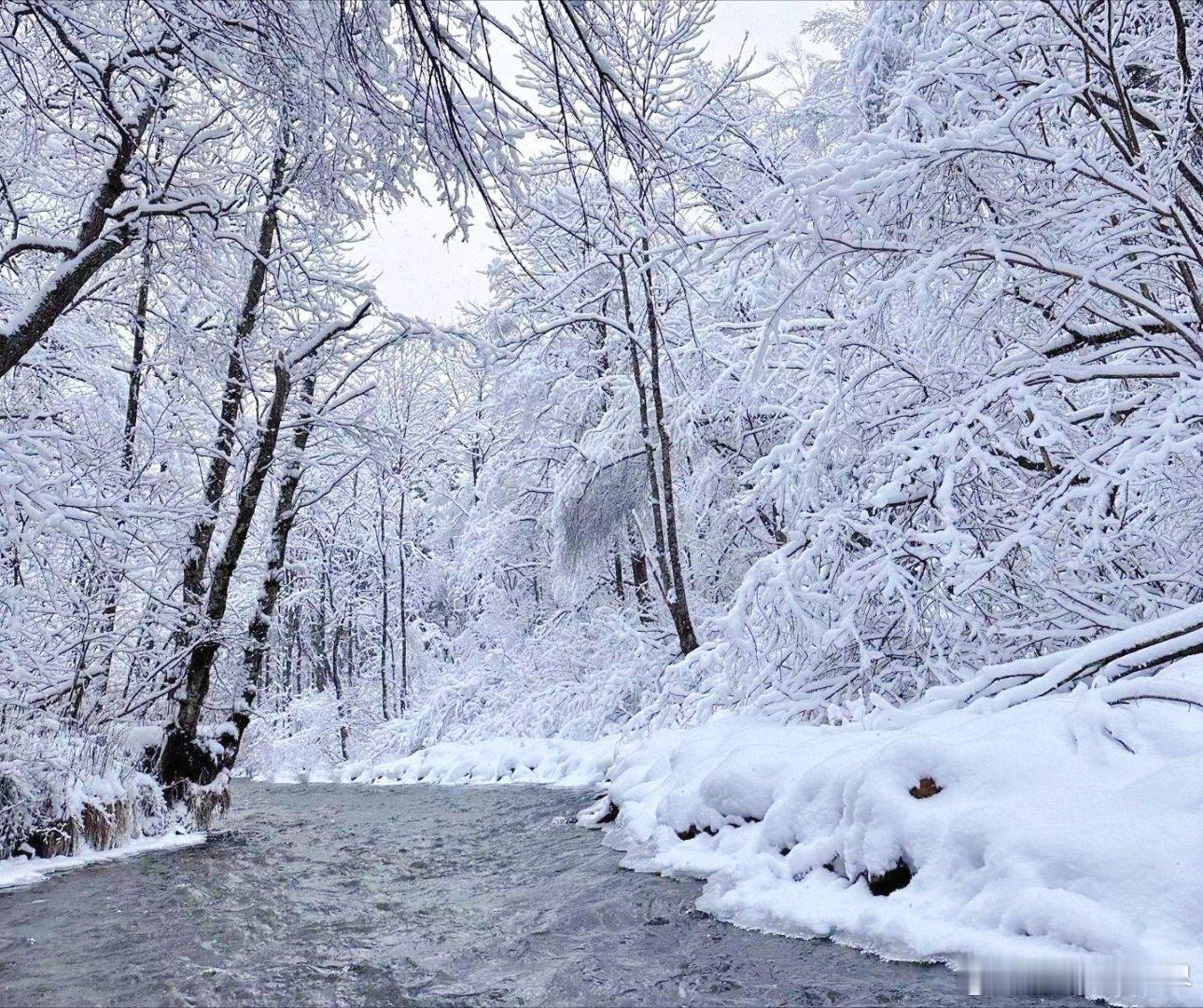 长白山雾凇漂流，这趟旅程不负期待。橡皮艇载我穿越茫茫雪原，两岸树枝银装素裹，在阳