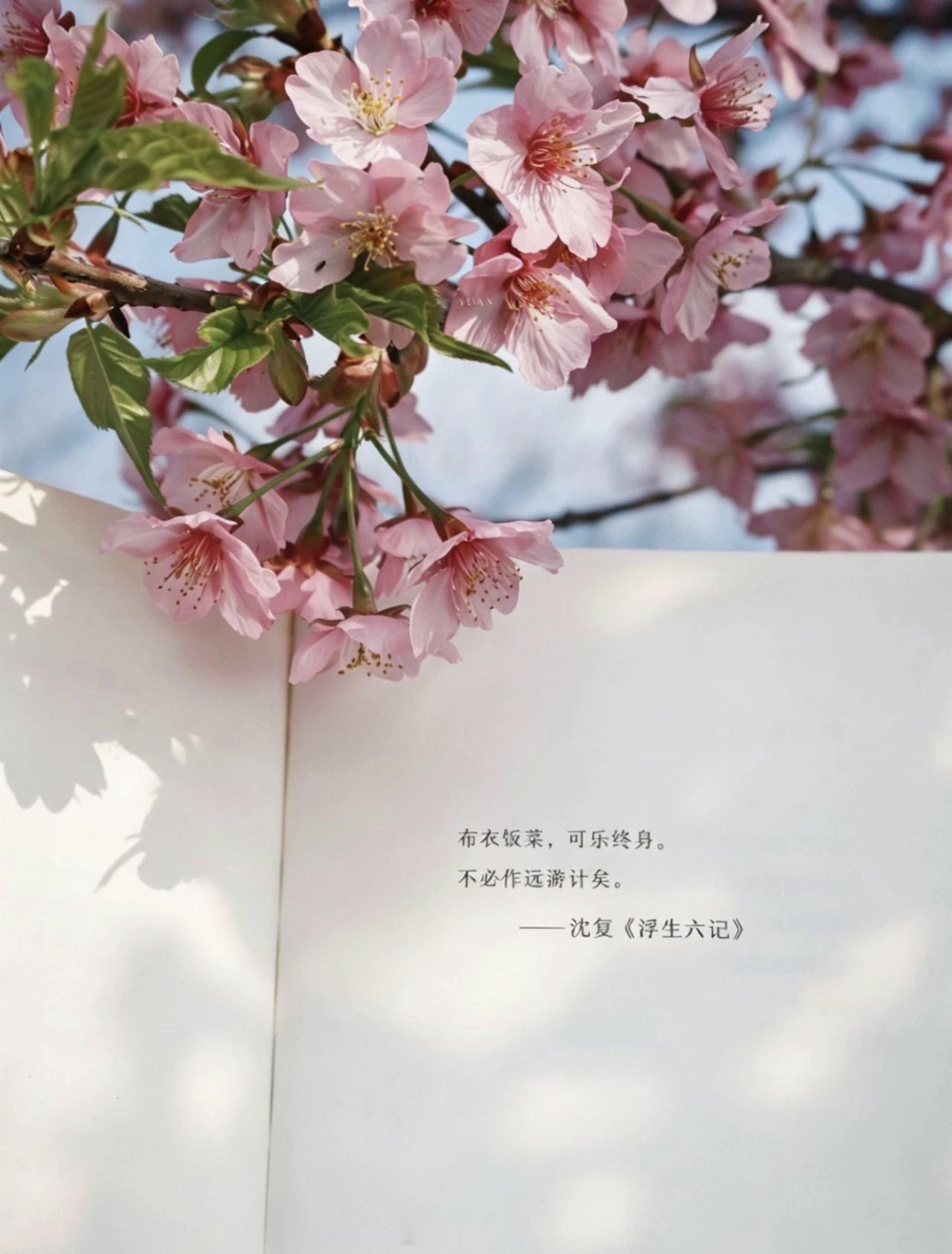 布衣饭菜，可乐终身。生活手记
