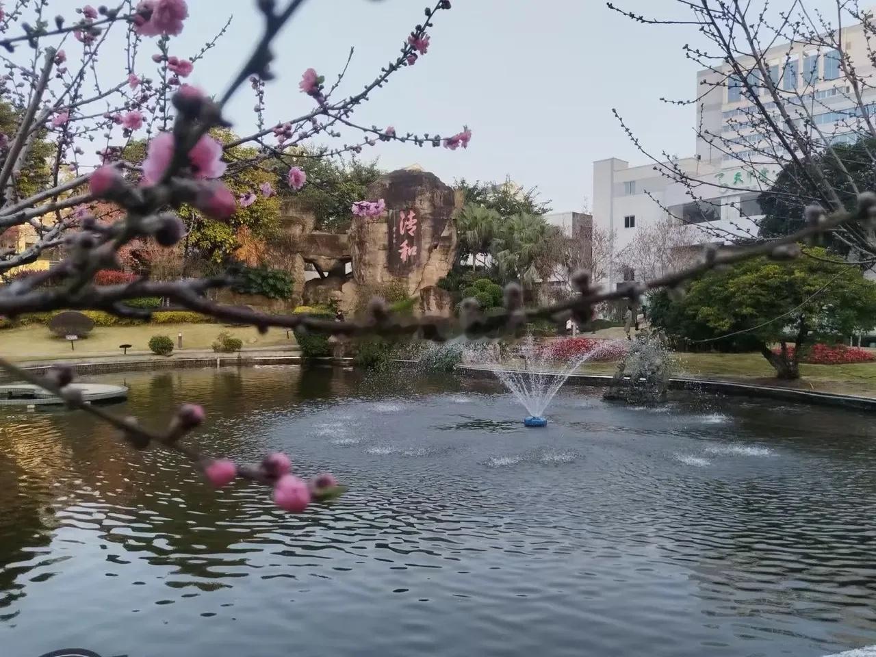 小米汽车核心零部件！1，电池2，结构件3，热管理4，电子元器件5，连接器6，车身