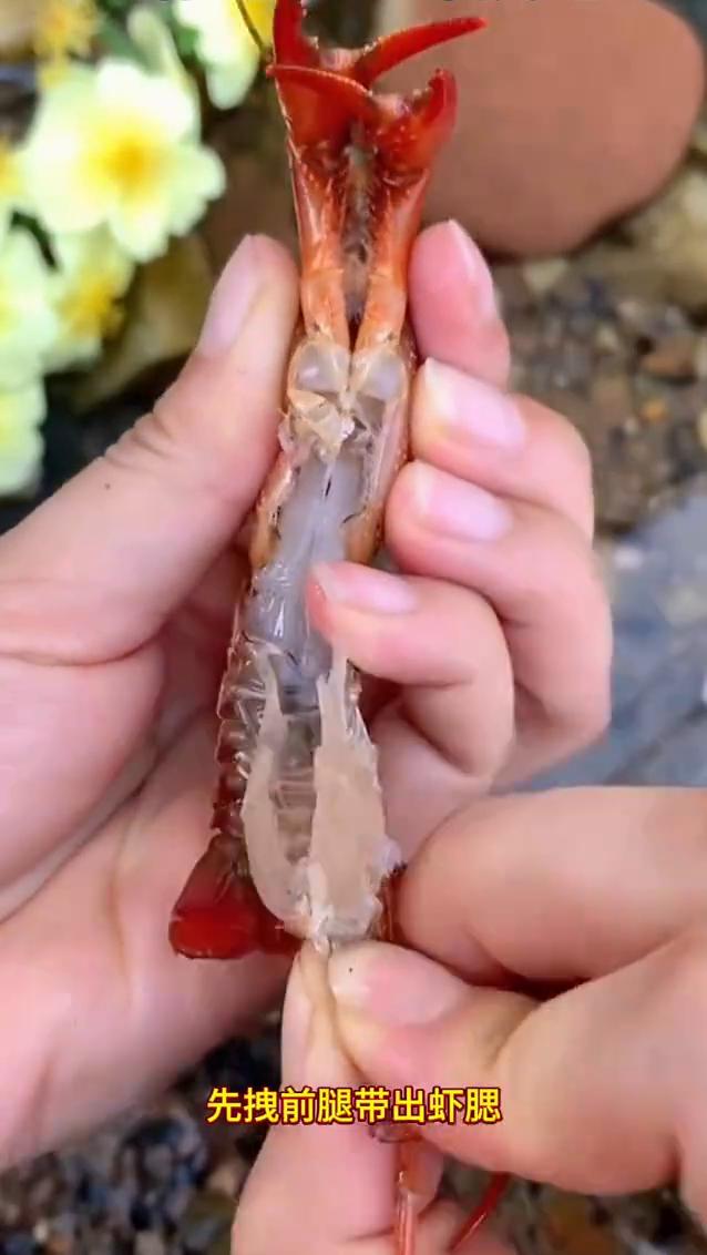 清理小龙虾。
多年厨房经验分享清理小龙虾。
·别只抽虾线，先拽前腿带出虾腮。
·