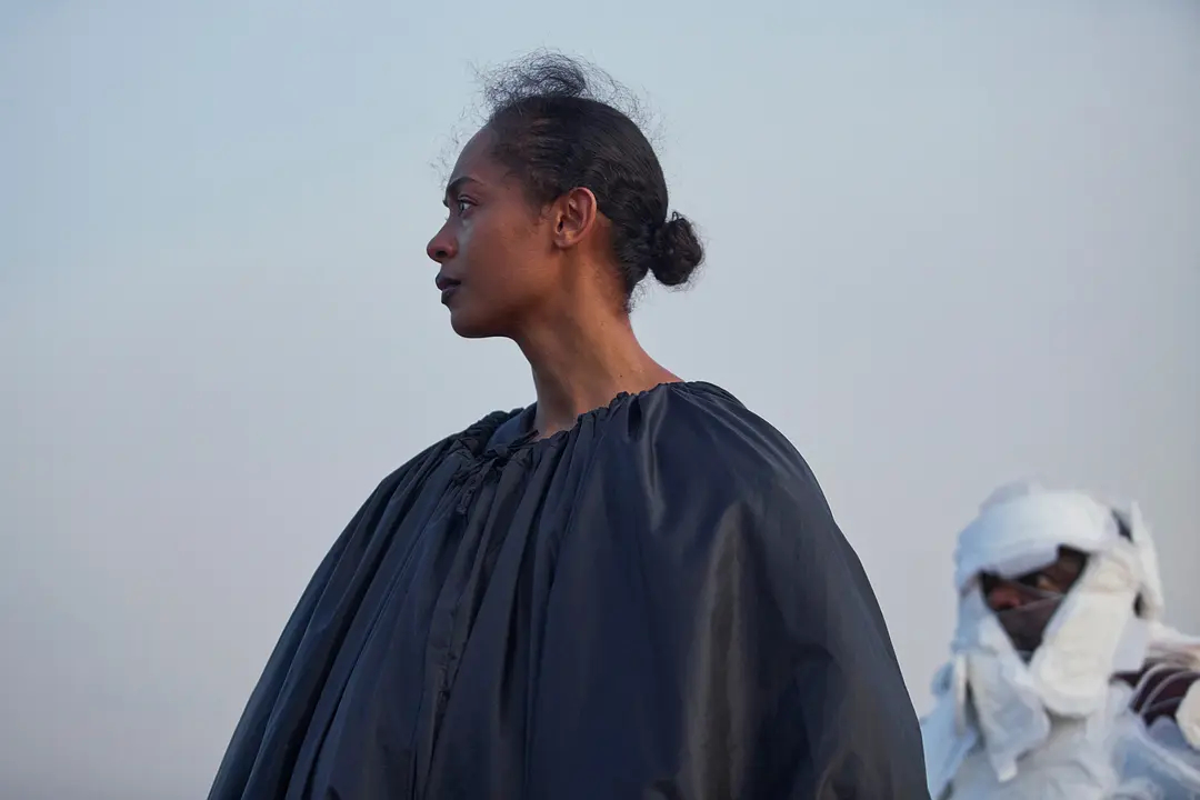 每日一片 《成为一只珍珠鸡》（2024）我通过电影看到的世界，因为这部作品又少了