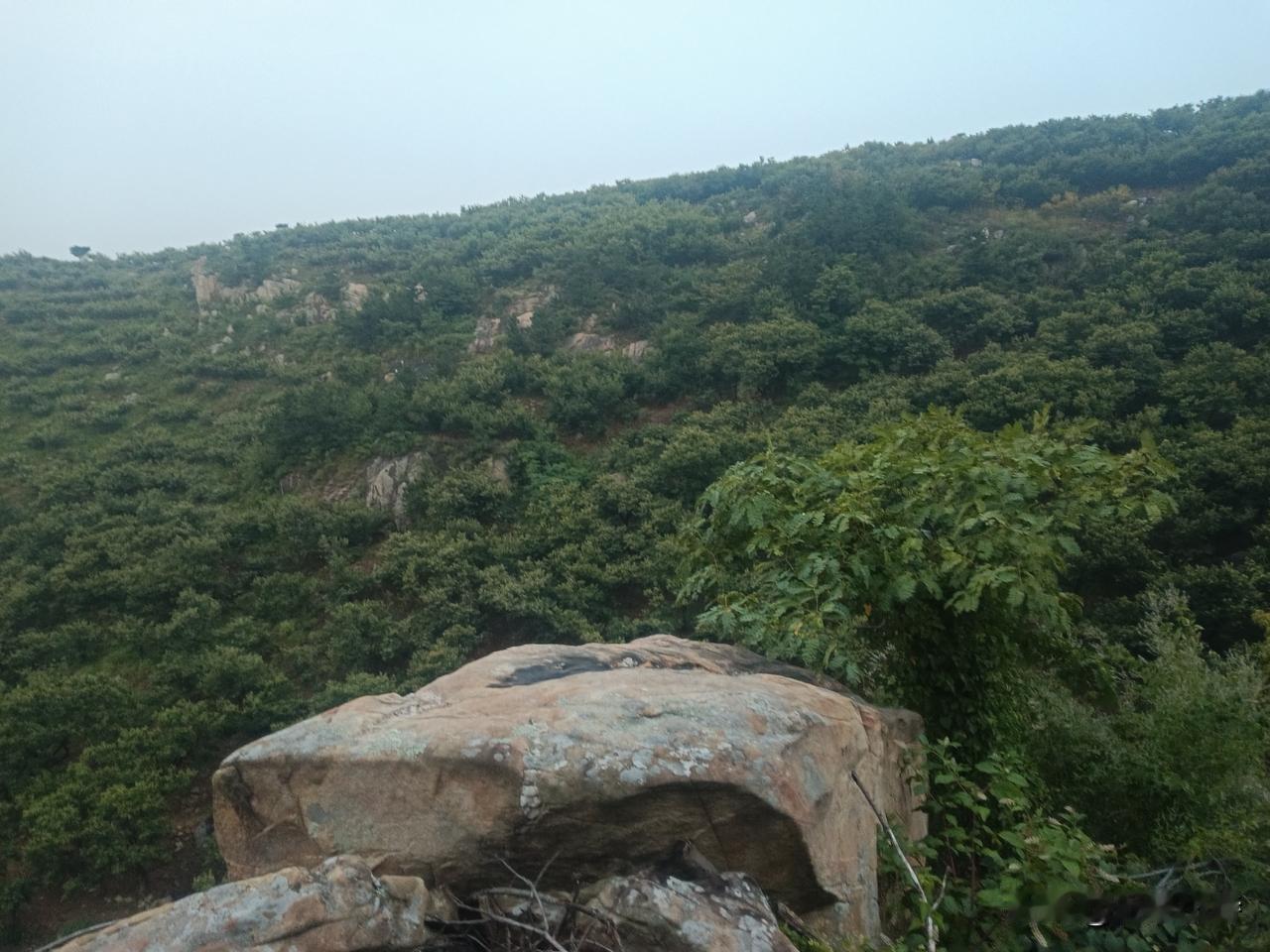 高纪明(山东)
赠某人
总笑他人无好句，常拿自己当名家。
从来不觉才学浅，手捧高