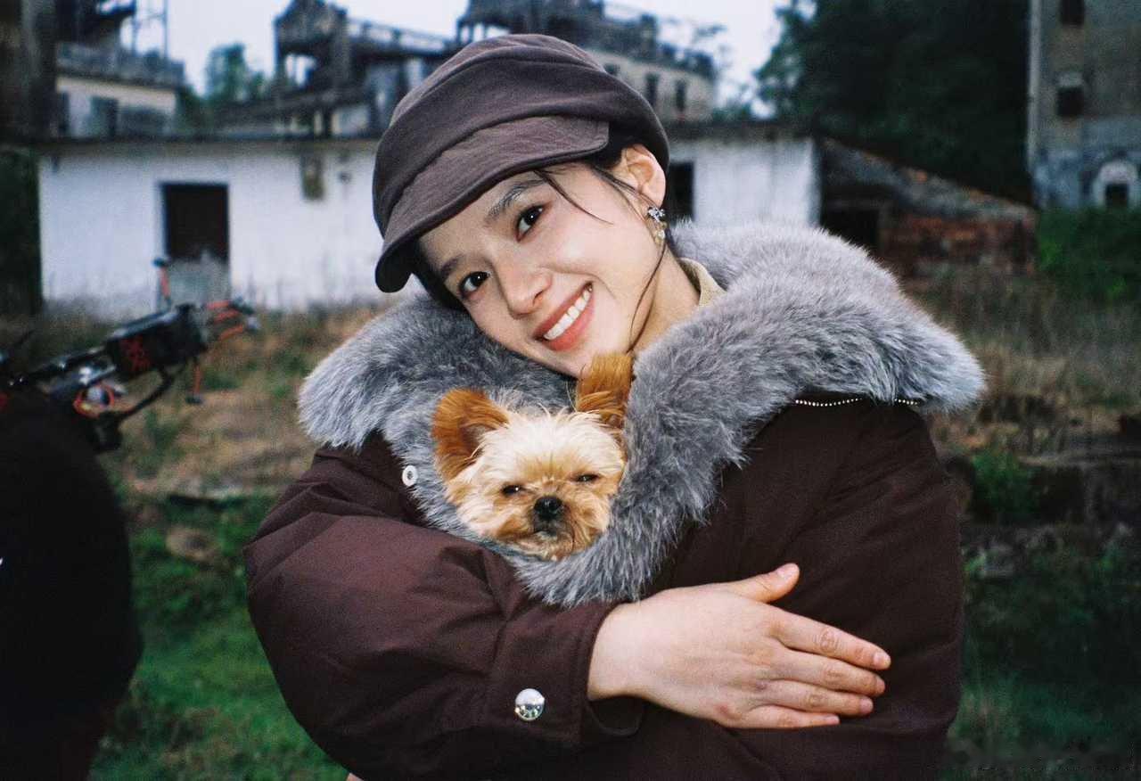 雾里青 爱奇艺都市剧《雾里青》领衔主演：张婧仪  张开泰  特别出演：王烁鑫  