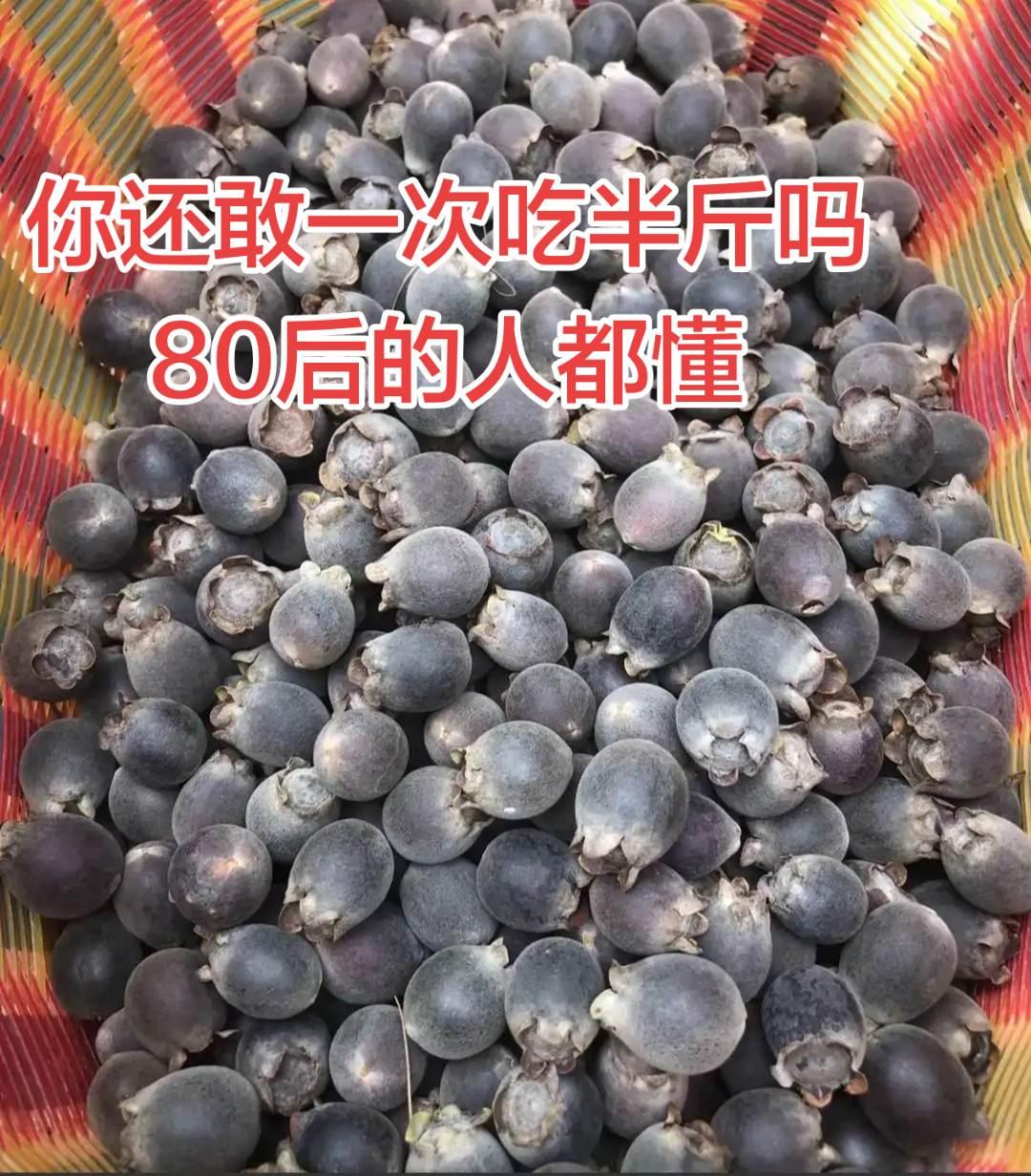 小时候的野果，你还敢吃吗。野果 野果子有认识的吗 农村计划 玩法合伙人
