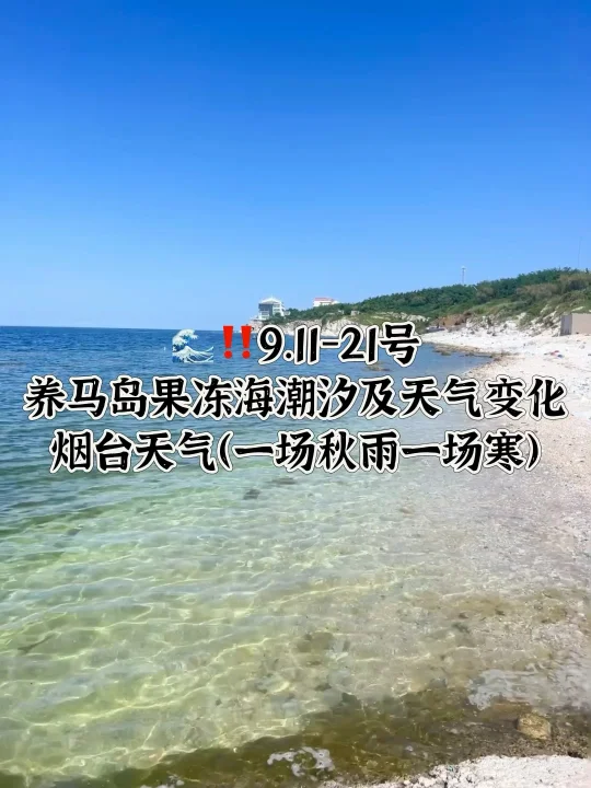 📍9.11-9.21号烟台养马岛果冻海潮汐及天气
