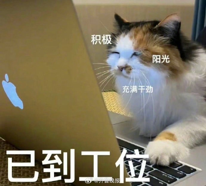 #早安# 生活不过是见招拆招，给了多少难题就解决多少难题。 ​​​