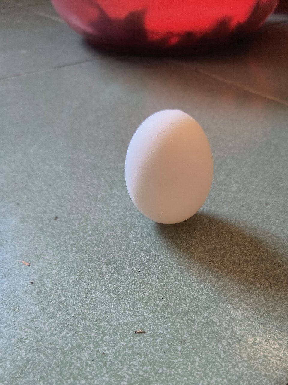 立蛋成功