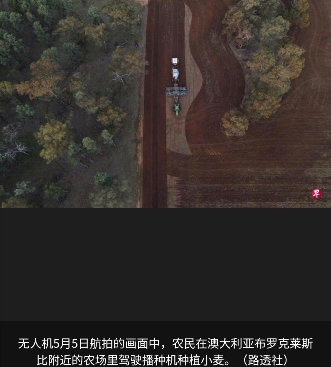 寰球镜头伊朗战争推高燃料与化肥价格，加上干旱风险升温，澳大利亚农民正大幅削减小麦