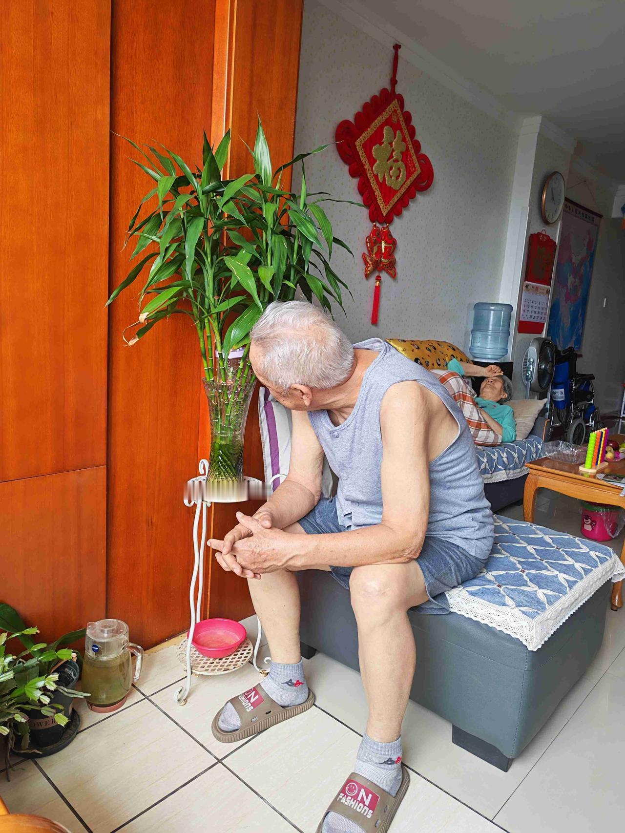 我九十一岁老爸自己买的那个黑身绿翅的铁皮蝈蝈果然很能鸣叫呢。

我给找了这个👇