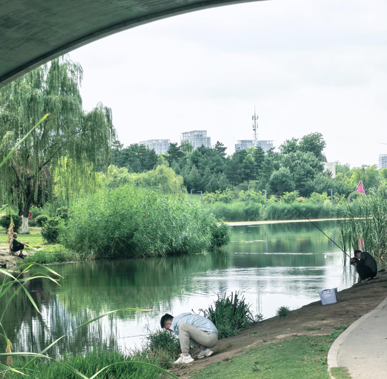 西安后海，“城市绿肺”，下午四点阳光穿过柳丝，能拍出电影感，可惜我是位摄影“菜鸟