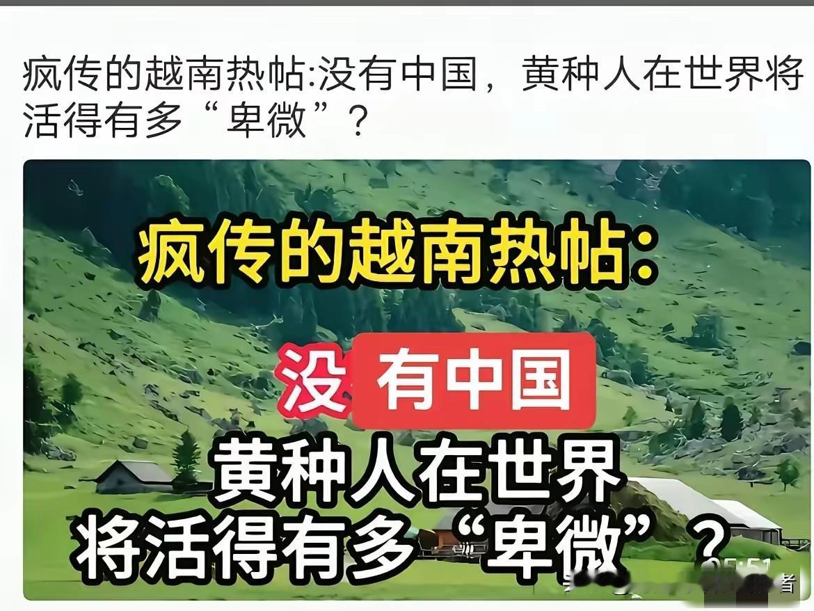 一越南网友说，本来以为对高市的错误言论，只是会引起中国国内网友的激烈反应，恨不得