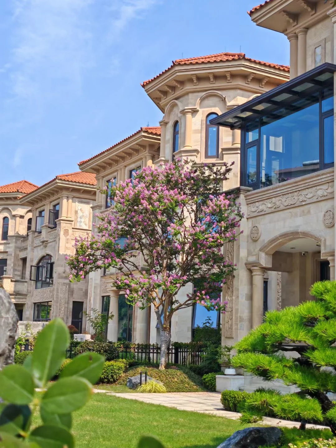 2400平🏠紫薇花盛开｜我家新的打卡景点❗❗