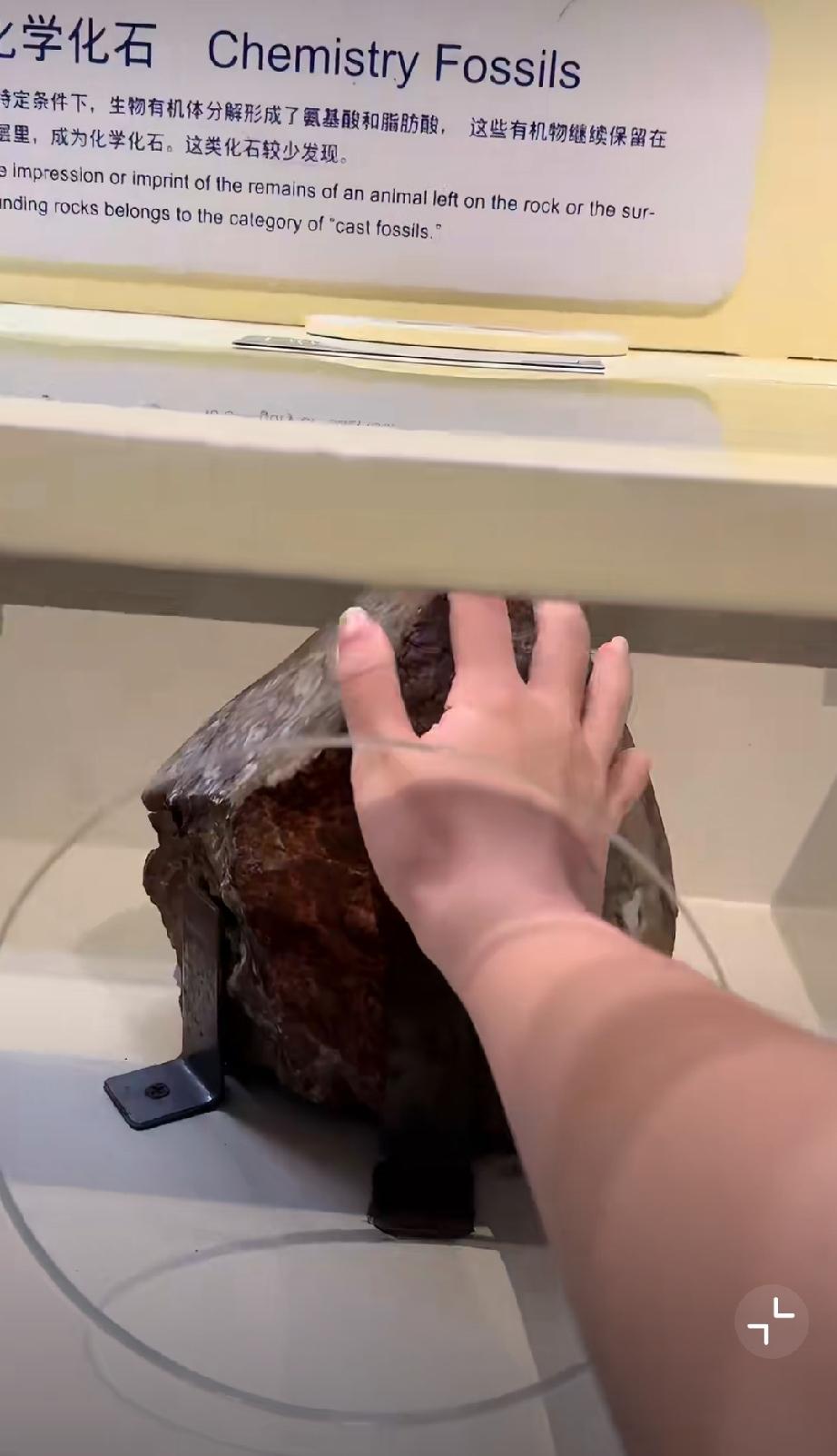 博物馆让摸的能是什么好东西…请大家摸完一定要把盖子盖好，别让下一个人看见了。[捂