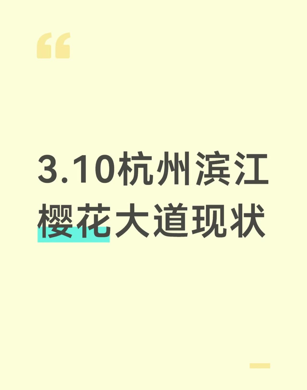 3.10丨杭州滨江樱花大道现状
最近有朋友问滨江樱花开放情况
昨天正好路过去看了