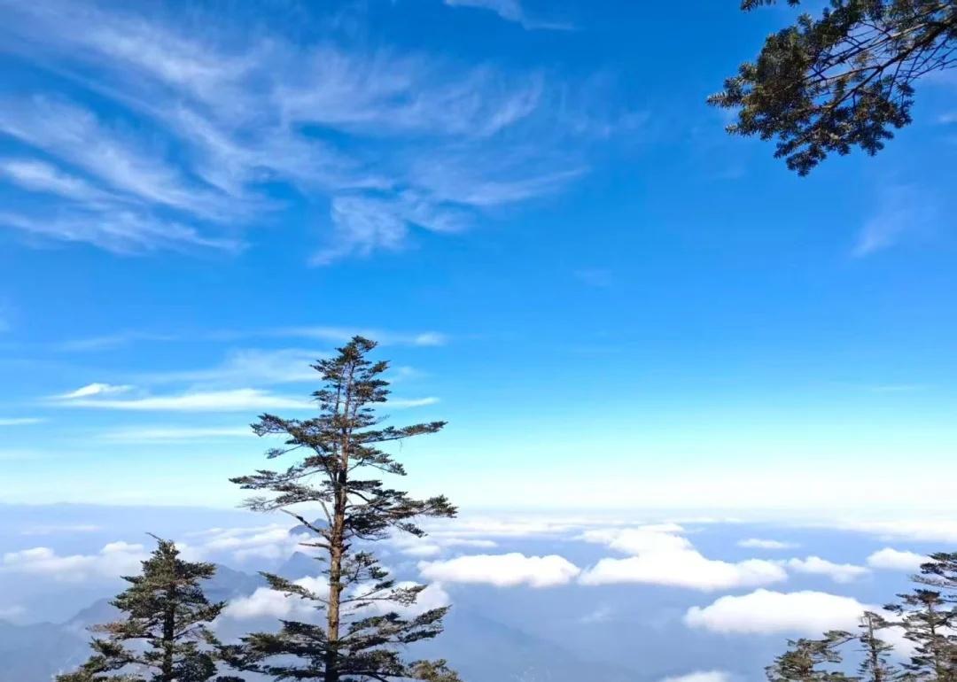 瓦屋山徒步爬山看雪，交友
有车，找搭子一起去瓦屋山看雪