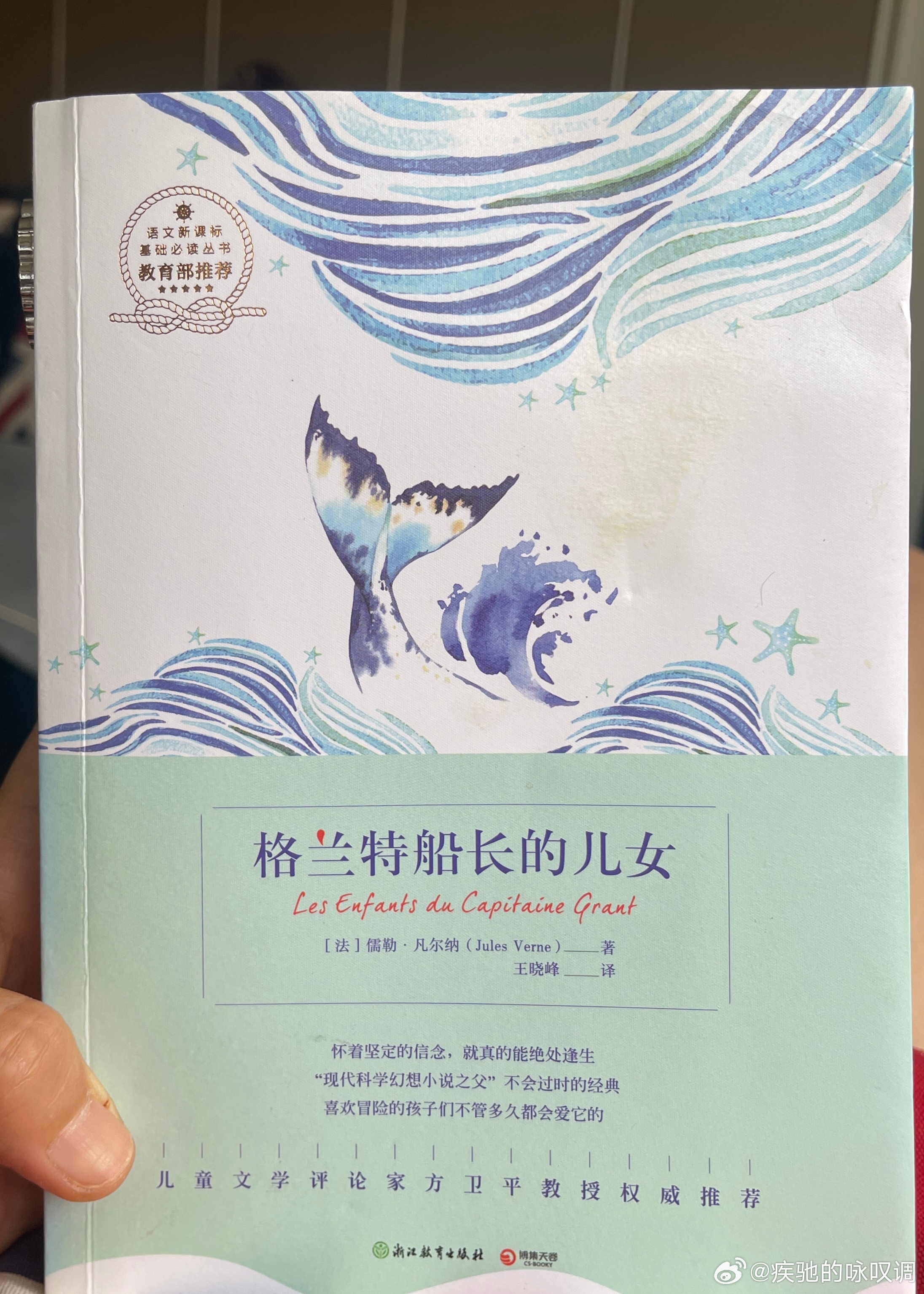 上小学时在母亲单位的图书室读过这本书，书中围绕着一群具有爱心、智慧、勇敢和冒险精