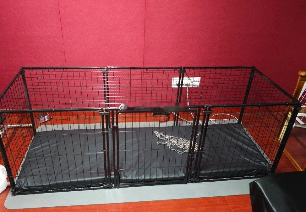 笼子很大推荐个犬种？ ​​​