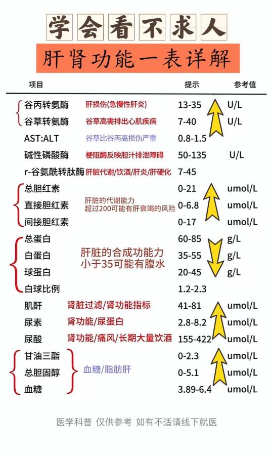 学会看不求人，肝肾功能一表详解！