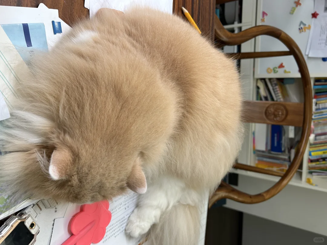 瞬间就不急今年考研了