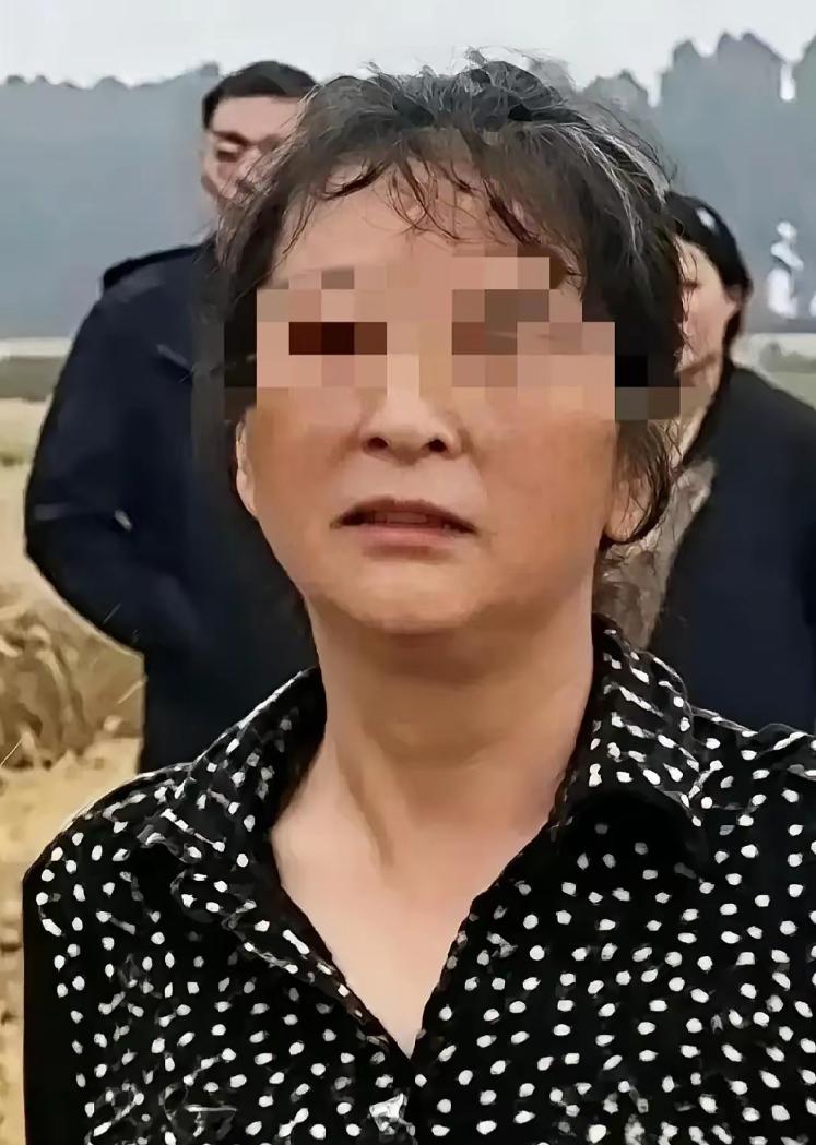 湖北这位大妈真是“红”了！大老远跑来帮咱抢收小麦的好心人，她一分钱工钱不给，反倒