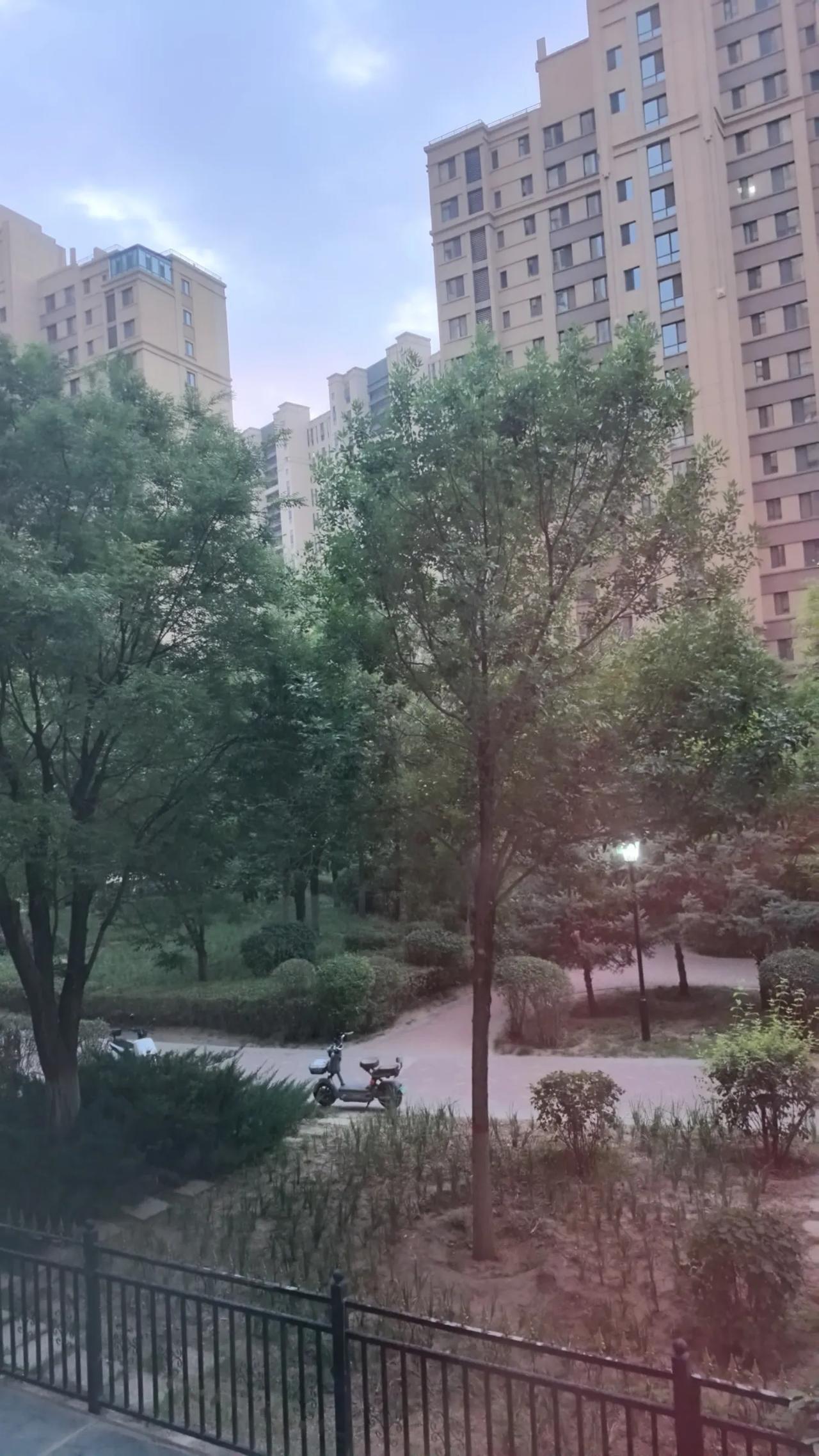 秋日生活打卡季时间过得太快了！转眼进入了秋天，只是树叶还没有枯黄，天气凉了，秋天