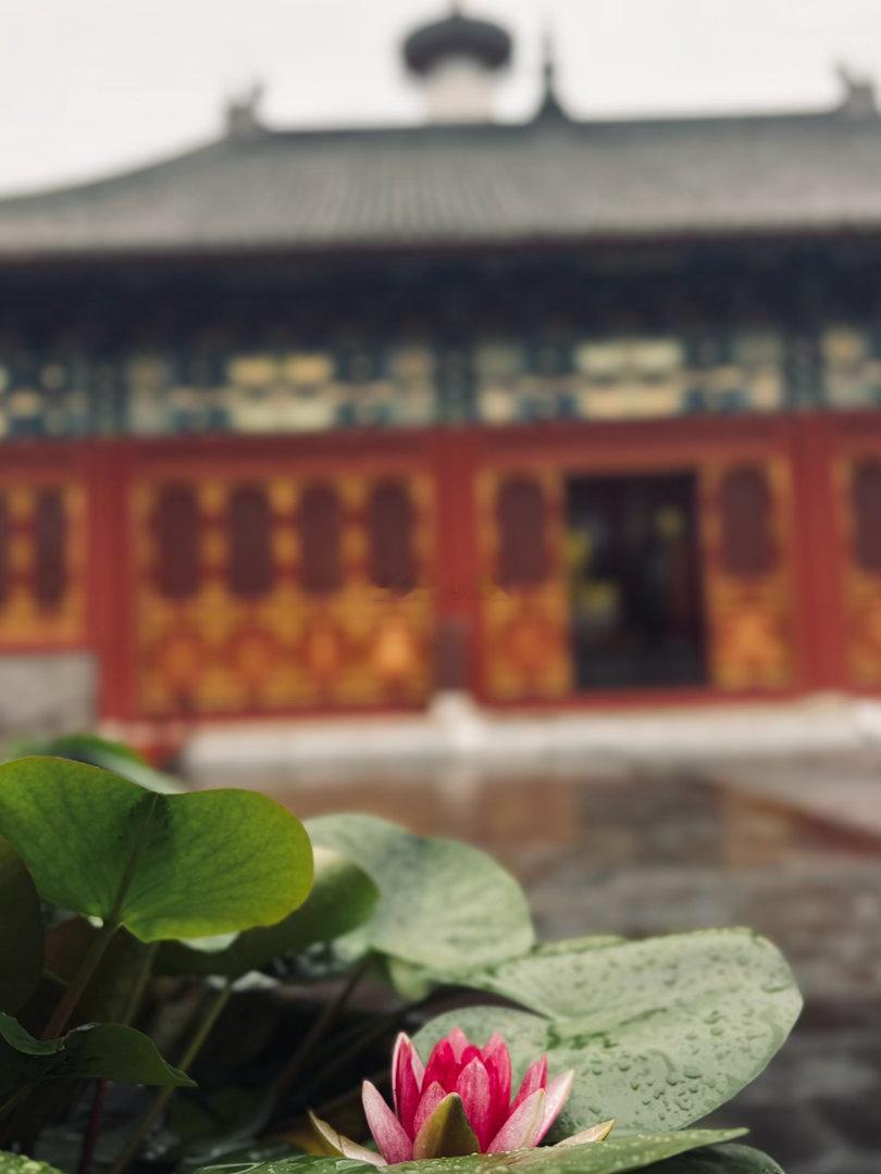 虽然一年未见但 每次相见 都如此美好 🧡 八月底的北京 冻得我临时买了件毛衣但
