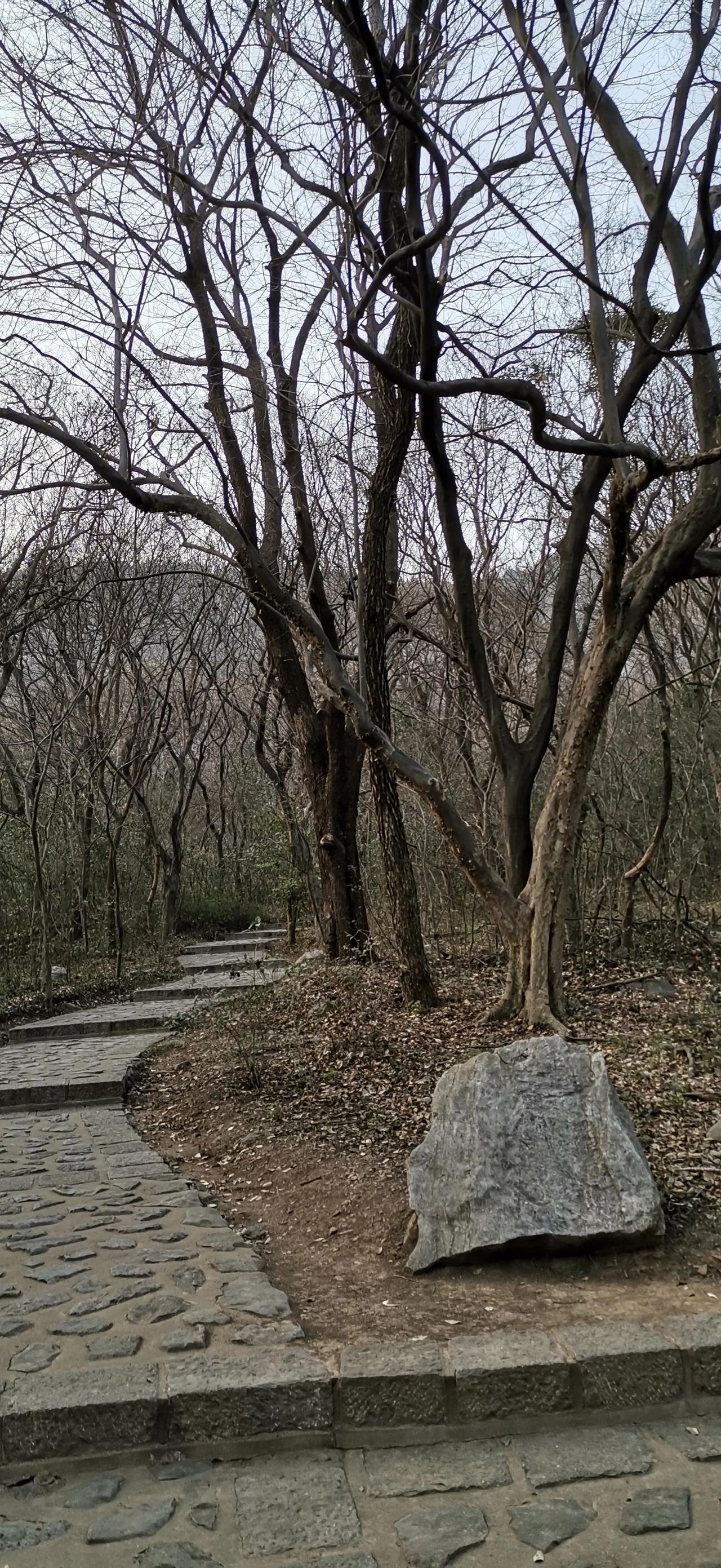 生活随手拍一拍