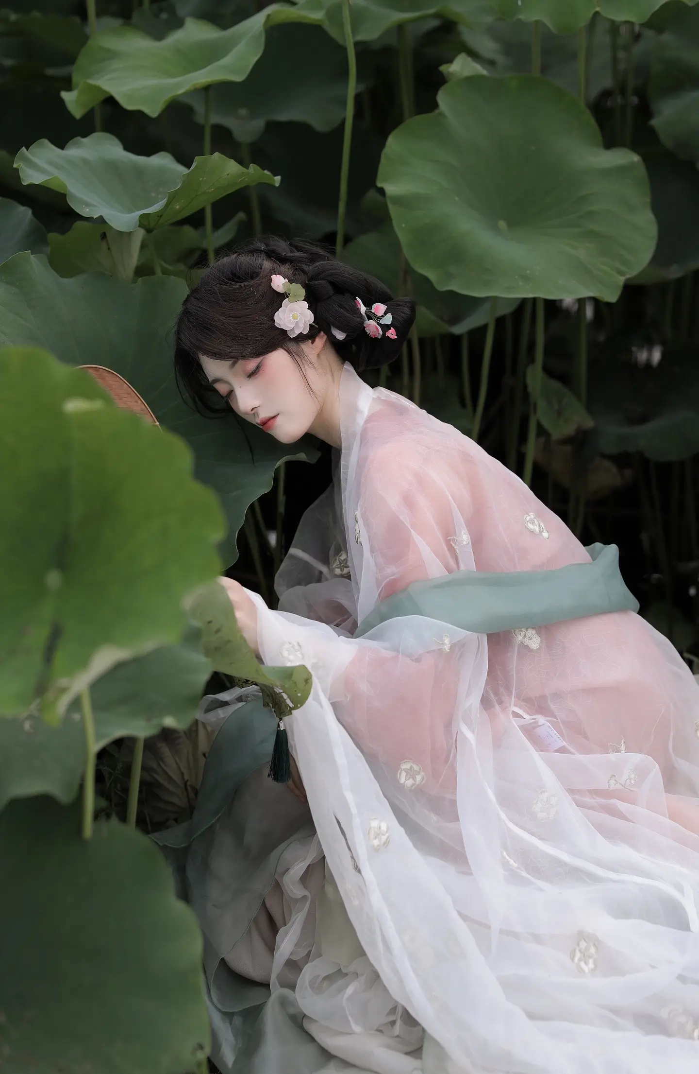 有没有姐妹让我看看你们今年的荷花图~