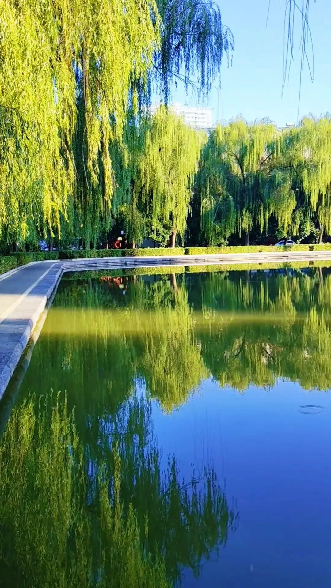 🍂凝碧湖迎来绝美秋日限定。层层波纹裹着暖调秋光漫开，抬眼是澄澈蓝天配...
